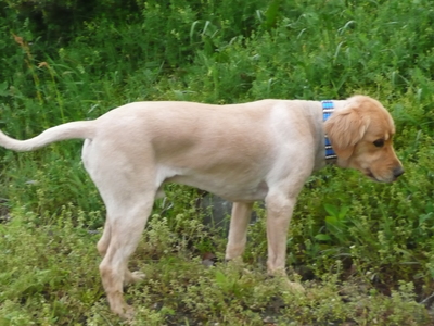 2008.haru 002.jpg