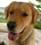 profile.jpg